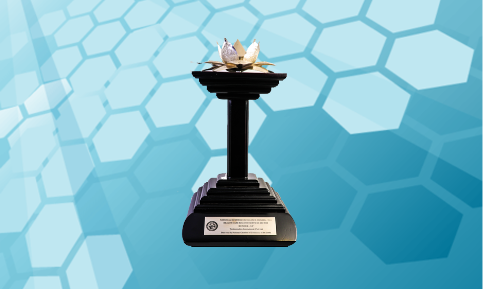 National Business Excellence Award (Silver)