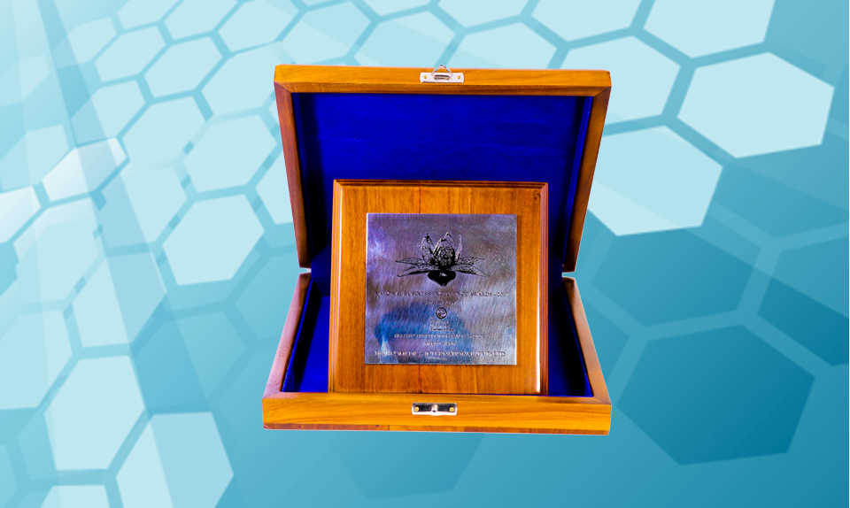 National Business Excellence Award (Merit)